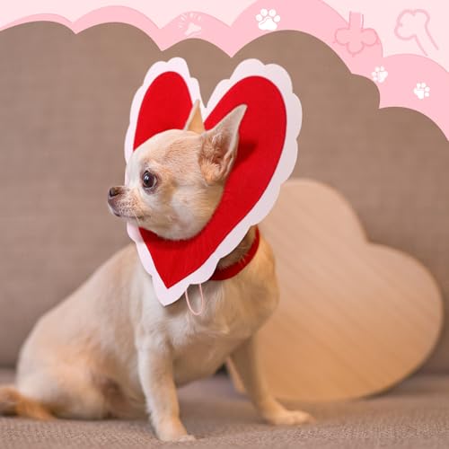 Disfraz para perro con corazón rojo tamaño pequeño miniatura 4