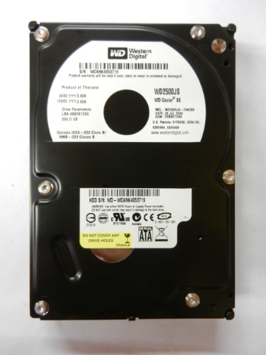 Western Digital 250gb 7200 RPM disque dur WD2500JS au format OEM
