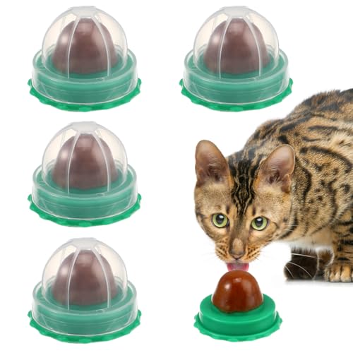 iplusmile Katzenminze Ball für Katzenwand: 5 Stück Drehbare Katzenminze Ball Bälle Wand CatnipToys für Katze Kätzchen Zähne Reinigung