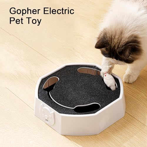 Jouet interactif pour chats : souris teaser rechargeable pour l'exercice à la maison