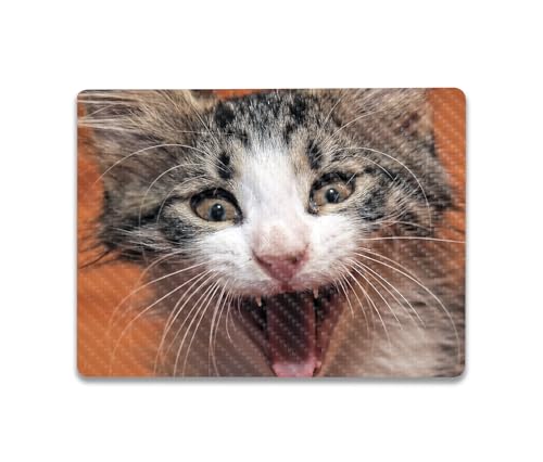 Image of MightySkins Carbon Fiber Skin Compatible with Microsoft Surface Laptop Go 3 (2023) Full Wrap Kit - LOL Cat | Protective, Durable Textured Carbon Fiber Finish | Made in The USA