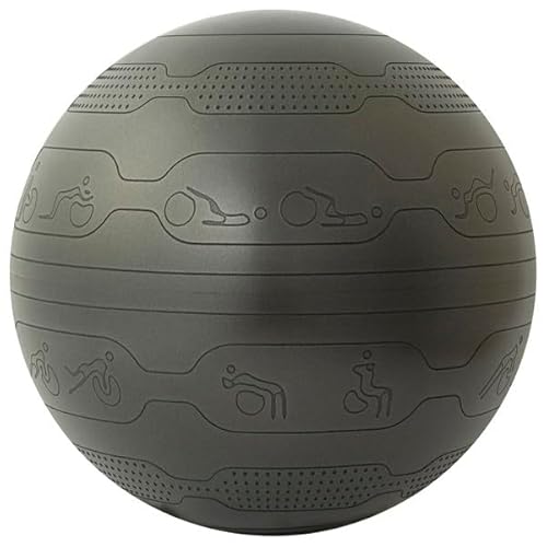 Namala NA6449 ブラック [トレーニングガイドバランスボール65cm] 1枚目