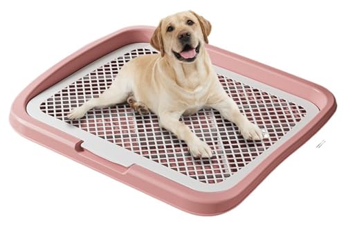 Fiozwea tFXtO\􂦂錢pgCF@\tpgCB^bV{EAitgCA͂˖h~A􂦂PPfށB (i)