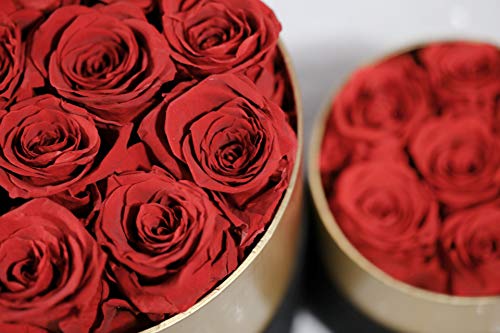 Red Real Roses In Black And Gold Box Handmade Preserved Roses That Last 1 Years, Long Lasting Rose Gift For Female, Valentine's Day, Mother's Day, Birthday, Christmas, Anniversary (Round Box,12 Roses) #TOP1