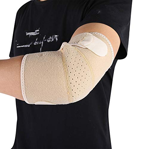 ejX̂߂̐lԍHwɊÂI|[gu[Xoh~gv[[܂͑l̃pbhK[hejXG{KȈkX[uZgubNJ[ (̐F)