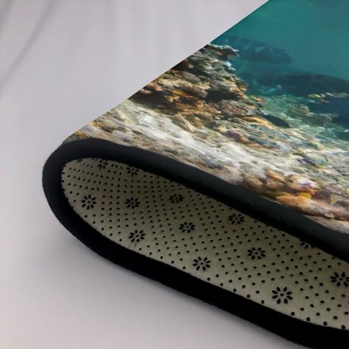 Tapis de yoga antidérapant OdDdot Sea Turtle1 pour ne plus glisser