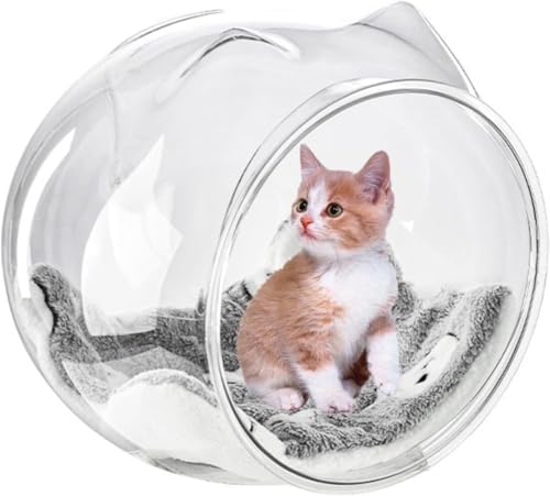  xbh 傫   B ی^  e Zbg  AN 琅 ϗtA {E یJo[ L  ԕr e ώ@ł܂ Փ˖h~ h~ SŉKȑ񋟂܂ CeA O (L)