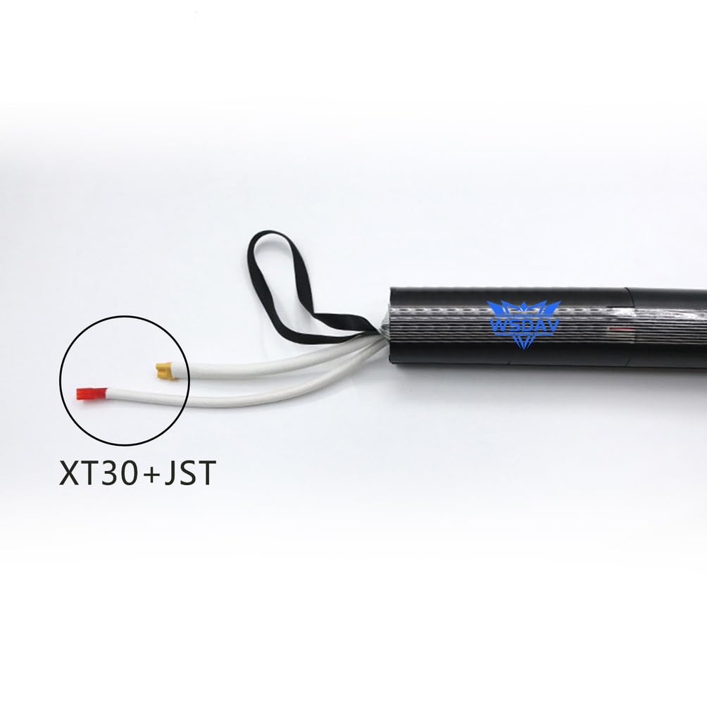 Batterie Lithium 24 V pour Scooter avec BMS