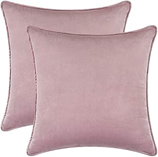 Alishomtll Pack of 2 Pink Velvet Cushion Covers Soft Decorative Square Throw Pillow Cases with Invisible Zipper, 45 x 45 cm (18x18 inch)