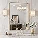 LOAAO 20”X30” Gold Bathroom Mirror, Rounded Rectangle Gold Frame Mirror, Brushed Gold Bathroom Vanity Mirror Wall-Mounted, Anti-Rust, Hangs Horizontally or Vertically