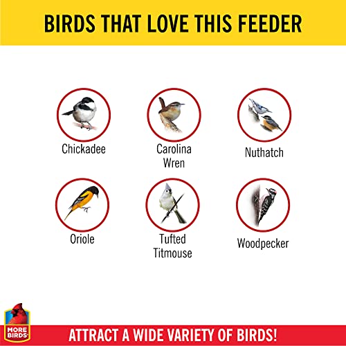 image for More Birds Double Suet Feeder with Weather Guard, 6.5