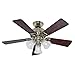 Hunter Fan Company 53080 The Beacon Hill 42-Inch Ceiling Fan with Five Rosewood/Medium Oak Blades and Light Kit, Bright Brass
