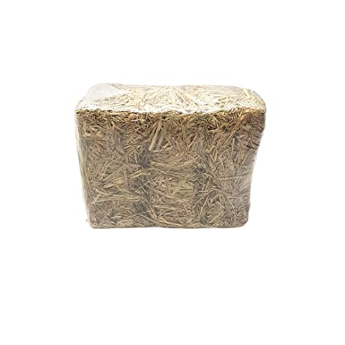 Complemento Alimentar Paiol Do Bicho Feno de Coast Cross para Roedores - 500g