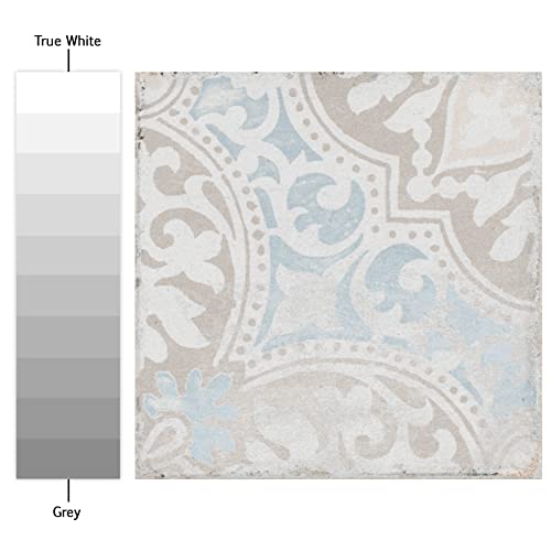 Somertile Barcelona Decor Montjuic 5.75" X 5.75" Porcelain Floor And Wall Tile #TOP3