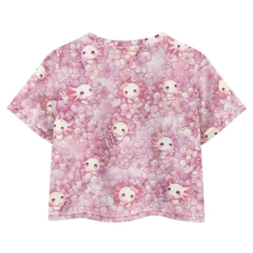Image of Girls Crop Tees Crew Neck Casual Short Sleeve T Shirts Kids Loose Soft Comfortable Tees Blouses Shirt for Little Girl