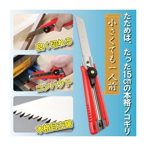 i܂Ƃ߁jʒY ĂlO 808826y×3Zbgz ds-1620387