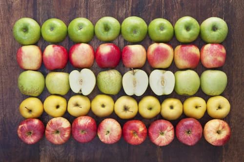 30 Seeds of Mixed Pink Lady Fuji Gala Honey Crisp Golden Delicious Native Fruit Apple Tree Seeds
