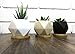 Bluegrid Succulent Pots 3 Inch Ceramic Mini Flower Pots Small Cactus Planter Modern Geometric Design Black White Beige with Bamboo Bases Pack of 3 (Plants Not Included)