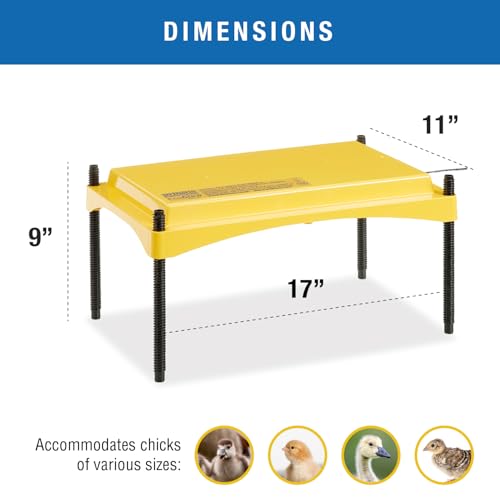 Brinsea Ecoglow Safety 1200 Chick or Duckling Brooder, Adjustable Height & Angle Brooder Plate for 35 Chicks, Ideal for Chicken Coops Poultry Heating with Safety Indicator, 18 Watts - Thumbnail 6