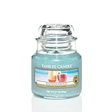 Yankee Candle Bahama Breeze Small Jar Candle, Fruit Scent