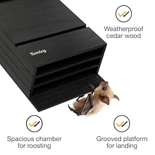 Bat House - Outdoor Bat Box Shelter - Handcrafted from Cedar Wood - Easy for Bats to Land and Roost - Weather Resistant & Ready to Install (Triple Chamber)