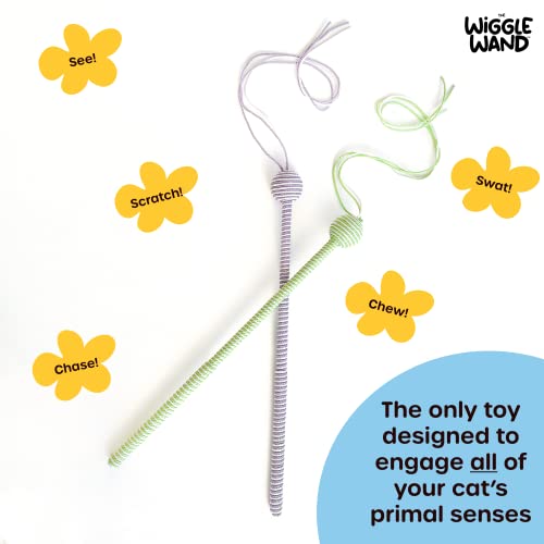 The Wiggle Wand Cat Toy, Natural Teaser Wand For All Cat Senses, Made In Colors Cats Can Actually See, Extra Long Rattle Ball Wand Toy For Cats And Kittens (Purple) #TOP2