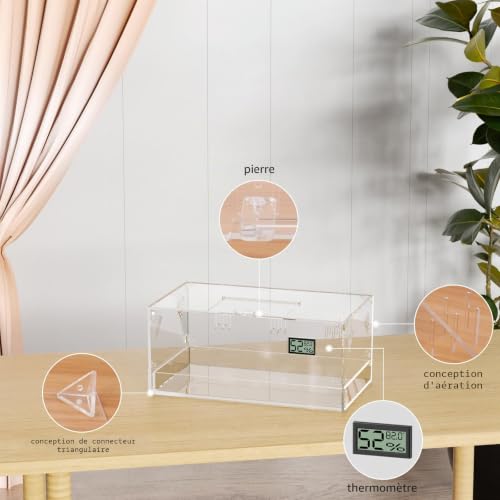 Boîte d'alimentation transparente pour insectes avec aération et contrôle