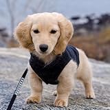 TenaLucy 2 Stücke Fleece-Weste mit Ring für die Leine, Hundepullover fur Kleine Katzen und Hunde, Warme und Weiche Hundepullover, Fleecepullover fur Kleine Katzen unds Hunde, für Welpen kleine (S)