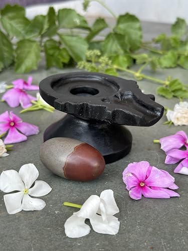 Image of Shivam VASTU AKAL 1.5 inch Original Narmadeshwar Narmada Shivling with 3 inch Narmada Stone Yoni Base Jaladhari (Mahamratunjay Shivling, Black Designer Damru Jaladhari)
