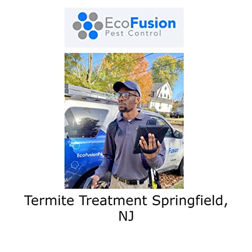 Termite Treatment Springfield, NJ