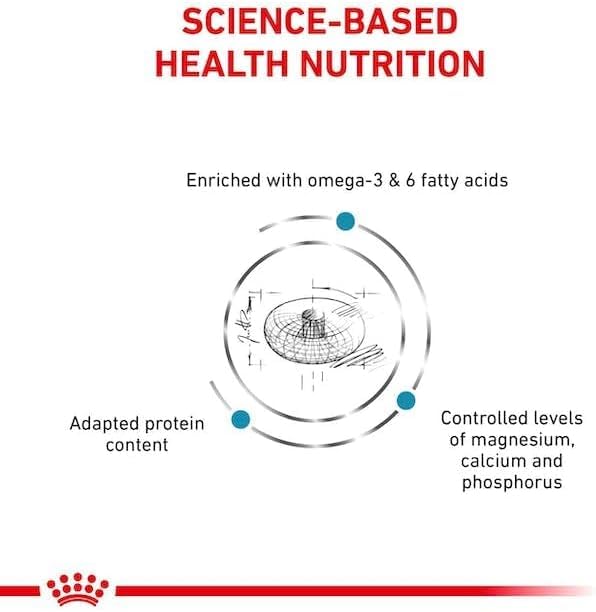 ROYAL CANIN Veterinary SKIN & COAT | 3,5 kg | Diät-Alleinfuttermittel für Katzen ab der Kastration | Zur Unterstützung der Hautfunktion bei Dermatose und übermäßigem Haarausfall