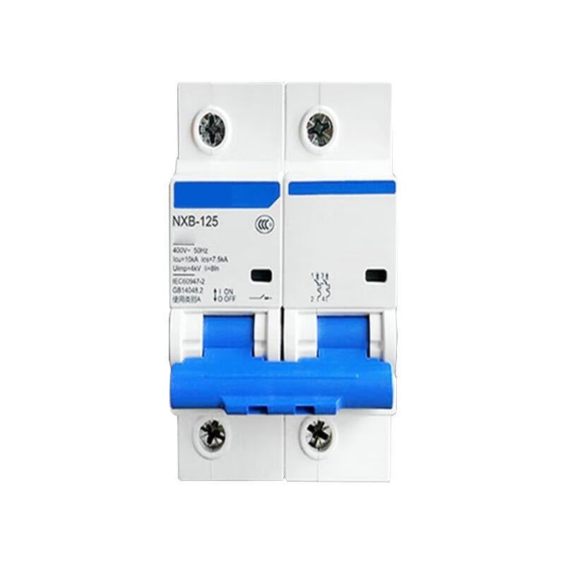 サーキットブレーカー；NXB-125 2P D125