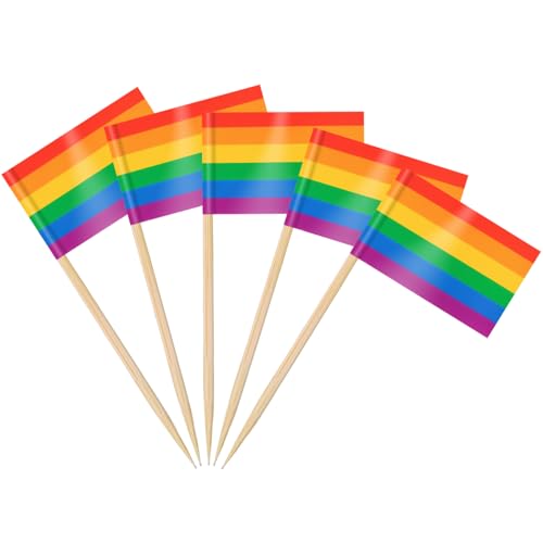 AhfuLife 100 Stück LGBTQ Regenbogen Zahnstocher Flaggen, LGBT Gay Pride Fahne Klein Cocktail Zahnstocher für Lebensmittel Cupcake Toppers Toothpick Karneval ‌Fasching Pride Month Parade Party Deko
