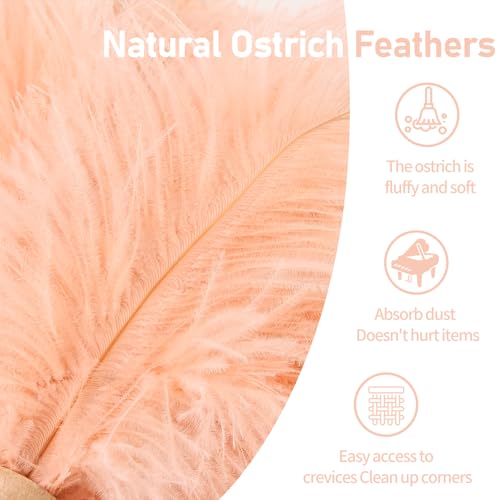 Image of Ostrich Feather Duster 12 Inch Handheld Duster Supplies, Wooden Handle Feather Duster for Cleaning Keyboard Home Car Office (Champagne 10Pcs)