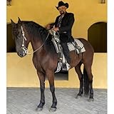  El Andaluz Anda Alegre