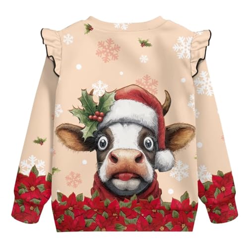 Sweatshirts for Toddler Girls Ruffle Fall Clothes Girls Long Sleeve Tops Everyday Active Shirts 1-8 Years2