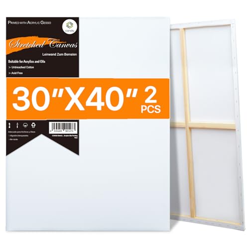 CONDA Large Stretched Canvas for Painting 30x40 Inch 2 Pack Big Canvas 100% Cotton Primed Acid-Free White Blank Stretched Canvas Boards Art Supplies for Acrylics Oils Painting