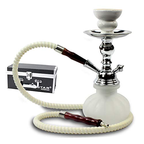 Gstar 11" Premium 1 Hose Hookah Complete Set - Mini Pumpkin Hookah Glass Vase (Snow White + Case) #TOP16