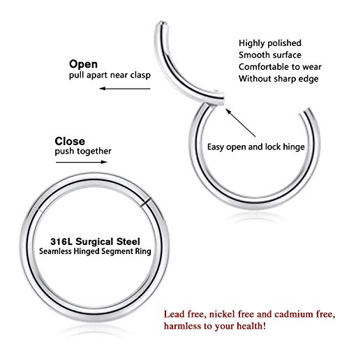 16G Nose Hoop Ring 316L Surgical Steel Hinged Segment Seamless Clicker Ring Conch Hoop Earrings Septum Jewelry Daith Rook Tragus Piercing Jewelry Cartilage Helix Lip Belly Lobe Hoop Earrings 8Mm #TOP1