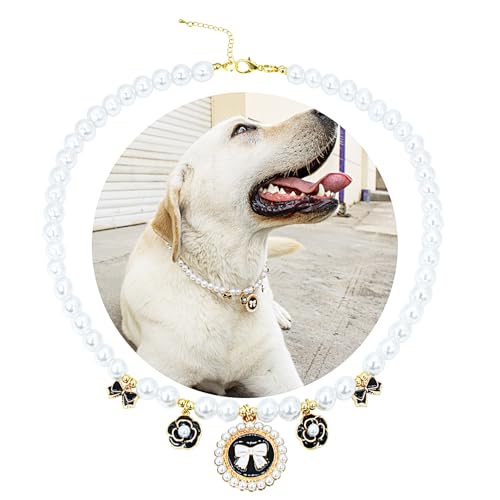 SM4BED ̎ p[lbNXAƍ̃r[Y 킢уy_gƃt[S[fr[YA^p̒߉\ȃybgWG[AXXL 20.5C`