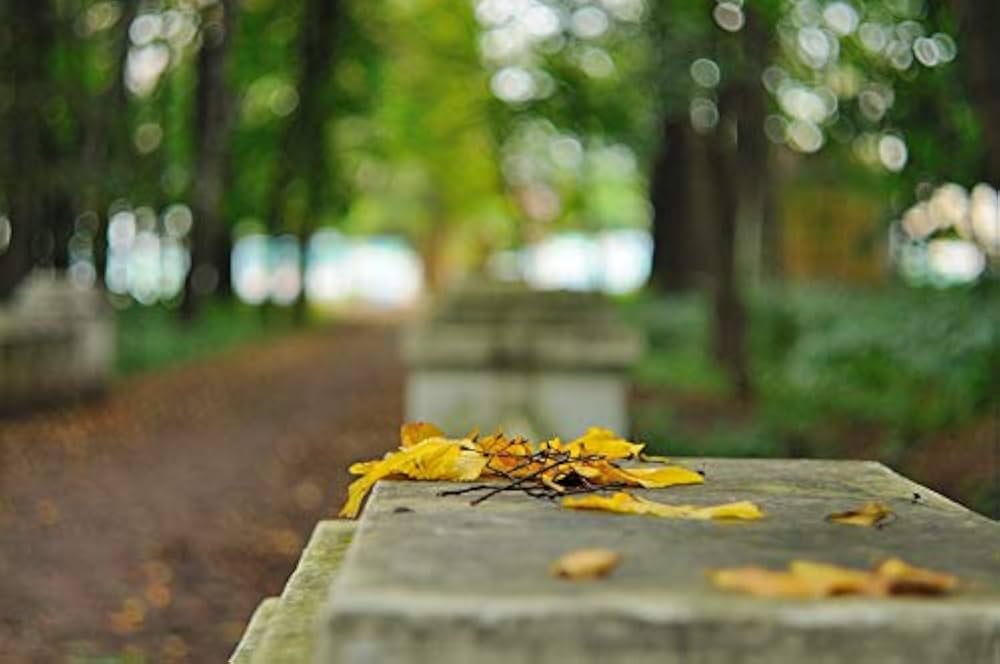 HELIOS 44M-5 58MM F2 ロシアレンズ for Nikon レアセット用 Amazon.co.jp: HELIOS 44M-5 58MM F2 ロシアレンズ for Nikon