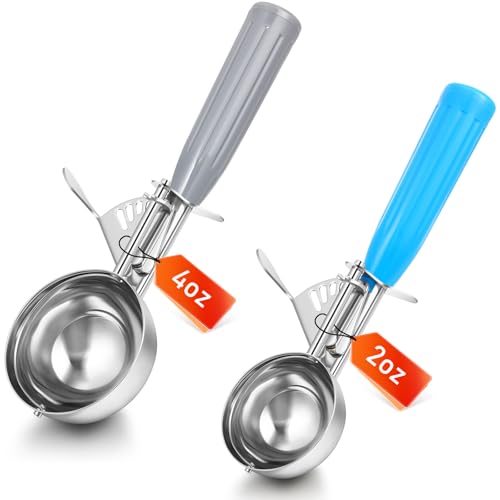 Reallnaive 2 Pcs Ice Cream Scooper with Trigger, 2 Oz+4 oz, Blue and Gray