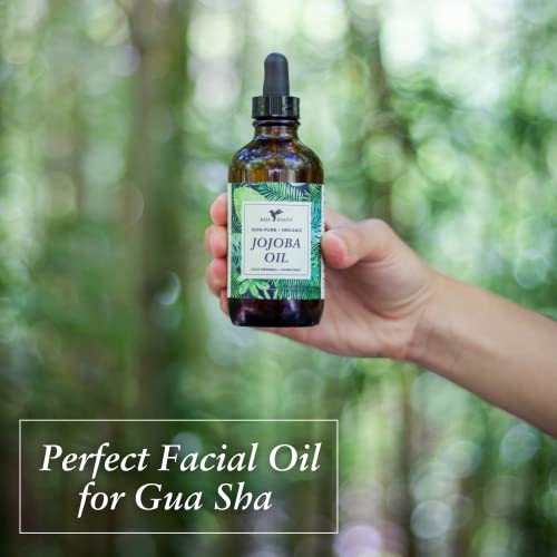 Baja Basics, Organic Jojoba Oil, Cold Pressed, 100% Pure - Moisturizer For Skin, Face, Body, Nails And Hair - Multi-Purpose Beauty Product, Vitamin E Anti-Aging Serum For Men And Women - 4 Oz Bottle #TOP4