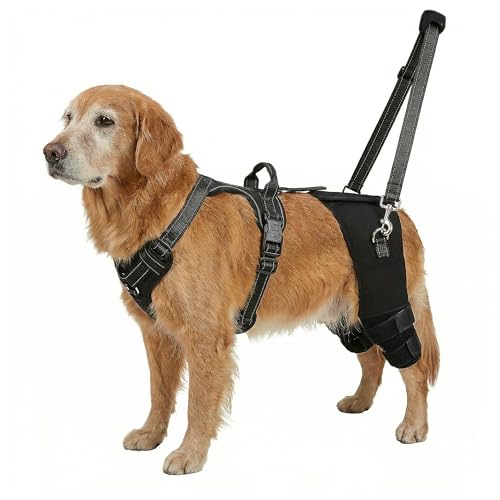 ALYBIT Dog Knee Braces for Torn ACL Hind Leg, Adjustable Dog Leg Braces for Back Leg with 4 Stabilizers for Luxating Patella Relieves Ligament Injury and Joint Pains