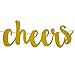 FECEDY Gold Glitter Cheers to 60 Years Banner for 60th Birthday Party