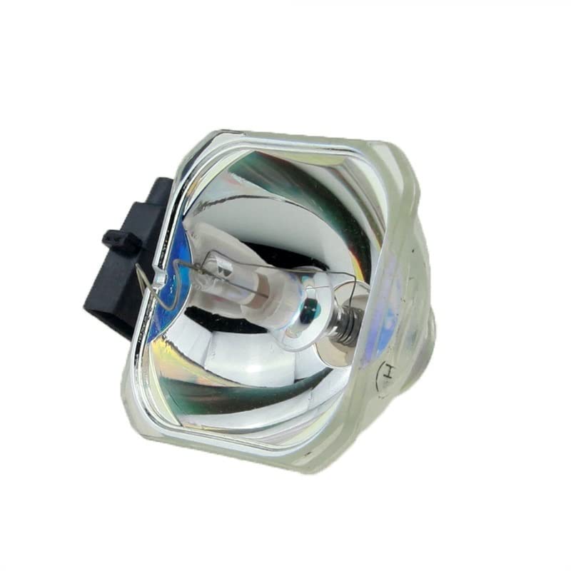 Lampe de projecteur ELPLP69 pour des soirées cinéma réussies sur grand écran