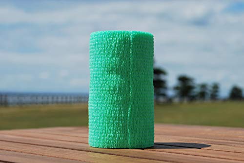 {Yp oe[W (10cm X 4.5mj12×1P[X eF (CgO[F)