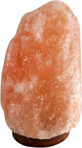 Generisch MaReBa24 Salzkristall Lampe rosa Salzlampe Natur 4-6 kg aus der Salt Range Pakistan