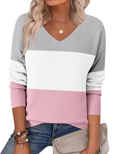 Zeagoo Women's 2025 Fall Sweaters Long Sleeve V Neck Knit Pullovers Business Casual Sweater Tops