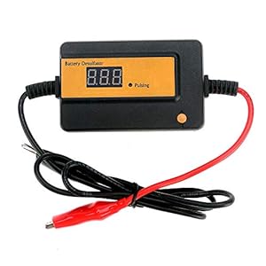 400Ah de automatische Handhaver van de Batterijdesulfator om GEL AGM SLA Lood Zure Batterij te herleven en te regenereren